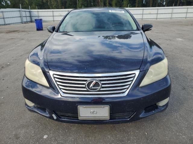 2010 LEXUS LS 460